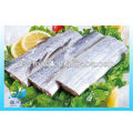 FROZEN RIBBON FISH STEAK/HAIRTAIL STEAK